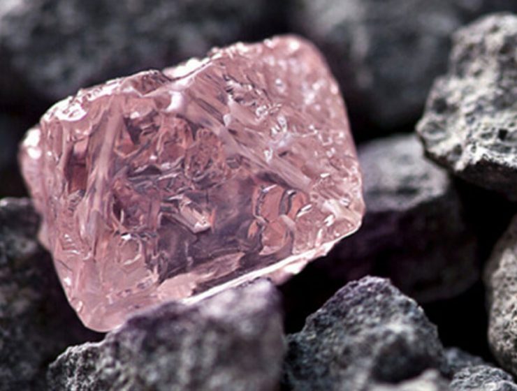 Pink Diamond The Diamond Talk