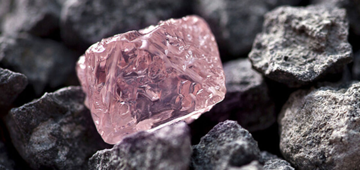 Pink Diamond The Diamond Talk