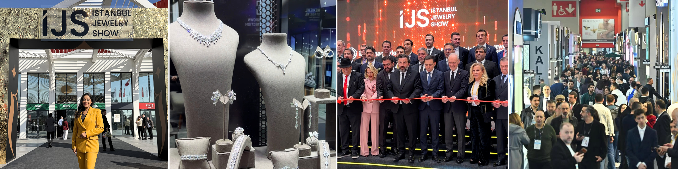 IJS 2026 Istanbul | The Diamond Talk | Renu Chaudhary